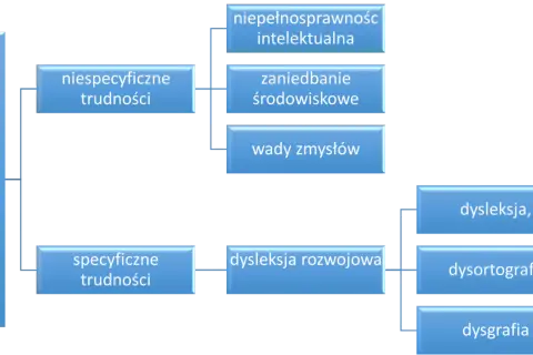 Dysleksja w Polsce: Jak uzyskać opinię i pełne wsparcie?