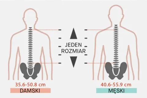 Ilustracja pokazuje, jak dobrać plecak do wzrostu, porównując wymiary tułowia damskiego (35.6-50.8 cm) i męskiego (40.6-55.9 cm).