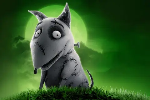 Frankenweenie, en söt, sydd hund med stora ögon, sitter i gräset under en grön måne. Perfekt för halloween filmer barn.