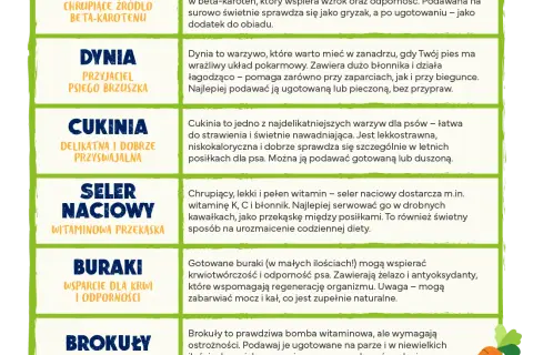 Jakie warzywa dla szczeniaka są zdrowe i bezpieczne? Kluczowe informacje