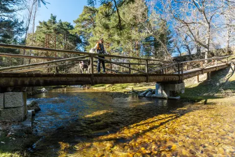 Hombre y perro cruzan un puente de madera sobre un río cristalino. El sol ilumina el lecho pedregoso, como si fuera la boca del asno.