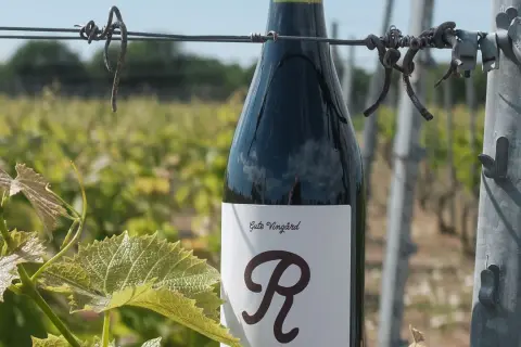 En flaska vin från vingården Hablingbo står bland vinrankor.