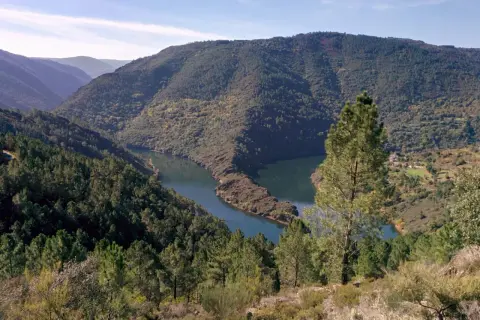 Un río serpentea entre montañas boscosas en Ribas de Sil. El sol ilumina el paisaje otoñal.