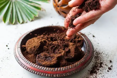 Kaffeesatz gegen Raupen: Eine Hand streut Kaffeesatz in eine Schale. Ein natürliches Mittel für den Garten.