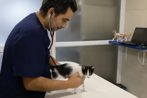 Clínica Veterinaria Santa Mariña: atención de calidad para tu mascota
