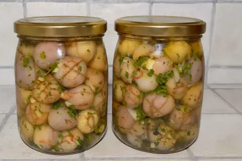 Due barattoli di lampagioni sott'olio, con erbe aromatiche e spezie, pronti per essere gustati.