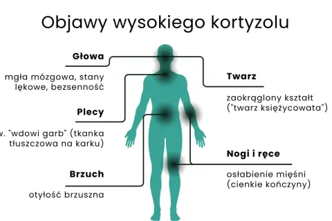 Wysoki kortyzol objawia się mgłą mózgową, otyłością brzuszną, "twarzą księżycowatą" i garbkiem tłuszczowym na karku.