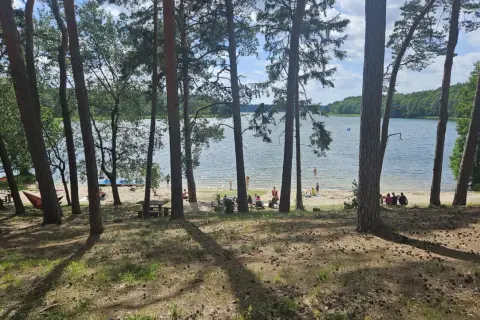 Plaża nad jeziorem, ludzie odpoczywają wśród drzew. Puszcza zielonka zachęca do relaksu.