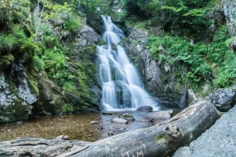 La cascade de Chorsin dévale une paroi rocheuse verdoyante, son eau se jetant dans un bassin clair. Un tronc d'arbre repose au premier plan.
