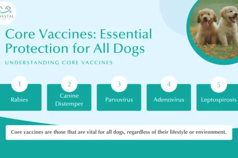 Essential core vaccines for dogs include Rabies, Canine Distemper, Parvovirus, Adenovirus, and Leptospirosis, vital for all pups.