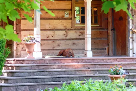 Jak wyremontować stary drewniany dom? Poradnik, koszty i błędy