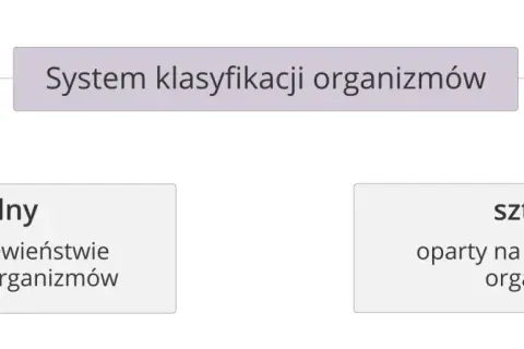 Co to jest systematyka w biologii i jak wpływa na klasyfikację organizmów