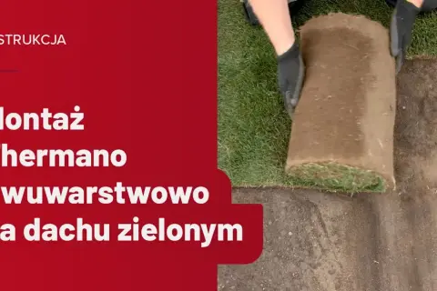 Jak zrobić trawę na dachu - krok po kroku do pięknego zielonego dachu