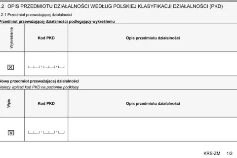 EKD i PKD - co to jest i dlaczego jest to ważne dla firm?