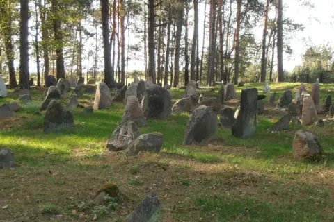 Kamienne nagrobki na cmentarzu tatarskim, otoczone sosnowym lasem. Słońce przebija się przez drzewa, oświetlając zieloną trawę i kamienie.