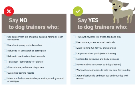 A graphic lists "Say NO" and "Say YES" to dog trainers. The "YES" side highlights positive methods, like a dog therapist using rewards and humane techniques.