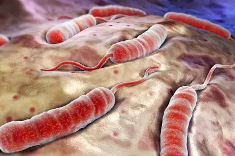 Czy cholera to grzech? Odkryj moralne aspekty użycia tego słowa