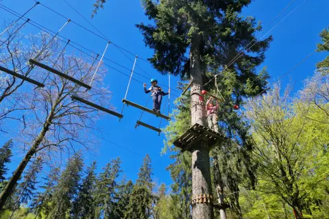 Park linowy Jedlanka: Stara Jedlanka czy Jedlina-Zdrój? Wybierz idealny!