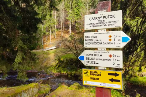 Kolory szlaków w górach: Mit czy drogowskaz? Planuj bezpiecznie!