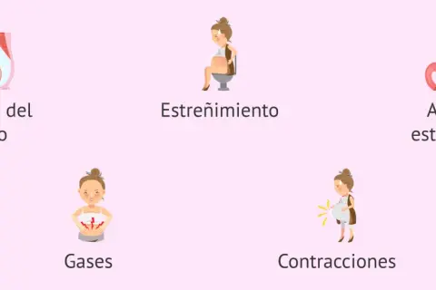Ilustraciones de síntomas comunes del embarazo: presión uterina, estreñimiento, acidez, gases y contracciones. El dolor es parte de la experiencia.