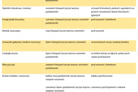 Od kiedy sezon na grzyby? Najważniejsze informacje i daty