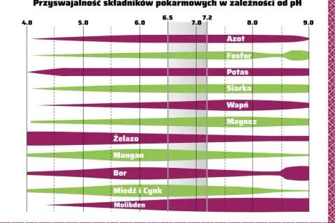 Wykres pokazuje przyswajalność składników pokarmowych w zależności od pH. Optymalne pH dla większości pierwiastków to 6.0-7.2.
