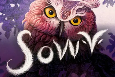 Sowy gra recenzja - czy warto zaryzykować grę w sówki?