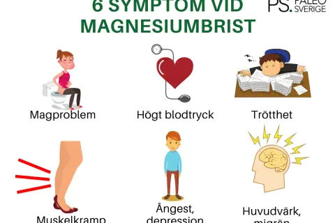 6 symtom vid magnesiumbrist: magproblem, högt blodtryck, trötthet, muskelkramp, ångest/depression, huvudvärk/migrän.