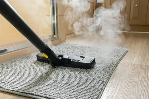 Mop parowy na roztocza? Odkryj fakty i ulgę dla alergików!