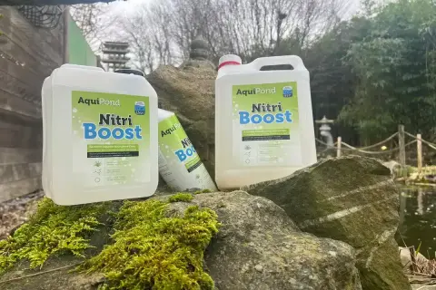 Bouteilles de "Nitri Boost" d'AquiPond, contenant des bactéries bénéfiques pour les plans d'eau, posées sur des rochers moussus près d'un étang.