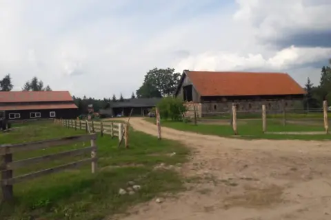 Stadnina koni Mycyny - wyjątkowe miejsce na agroturystyczne przygody