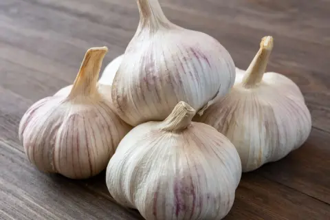 Kwitnące czosnki ozdobne odmiany, zebrane w bukiet na drewnianym tle.
