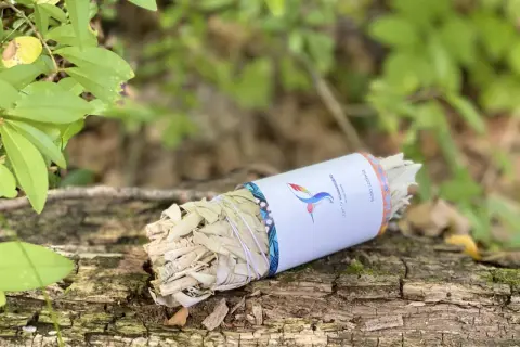 Biała świeczka znaczenie: pęczek białej szałwii na pniu drzewa, otoczony zielenią. Symbol oczyszczenia i spokoju.