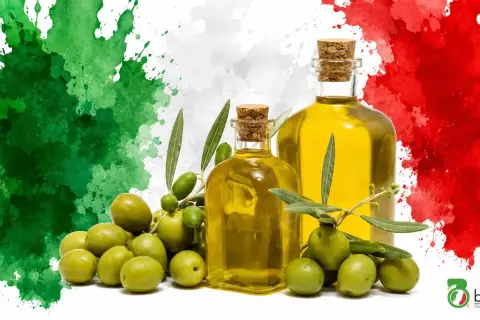 Bottiglie di olio extravergine d'oliva e olive fresche, con sfondo a macchie verdi, bianche e rosse, che ricordano la bandiera italiana. La migliore classifica olio extravergine di oliva.