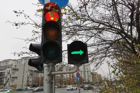 Sygnalizator S2 z czerwonym światłem na górze i zieloną strzałką w prawo. Za nim gałęzie drzew i budynki.