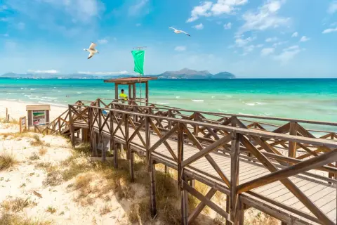 Majorka w październiku zachwyca! Drewniany pomost prowadzi na piaszczystą plażę, a mewy szybują nad turkusowym morzem. Idealna pogoda na spacer.