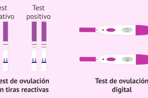 Comparativa de test de ovulación: tiras reactivas con dos líneas (positivo) y digital con carita sonriente (positivo).
