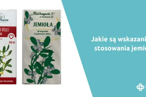 Jak zrobić napar z jemioły i cieszyć się jego zdrowotnymi właściwościami