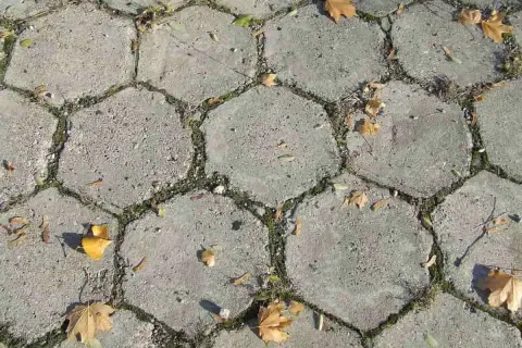 Szara, sześciokątna kostka brukowa, z mchem i opadłymi liśćmi, tworzy jesienną trelinkę.