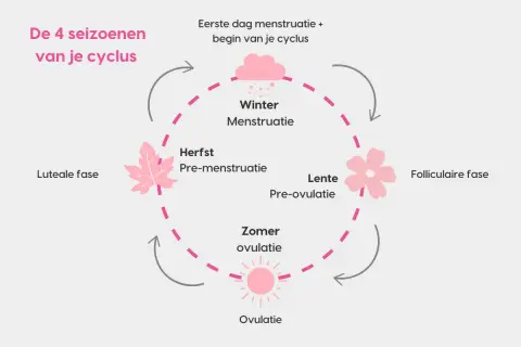 De 4 seizoenen van je cyclus: Winter (menstruatie), Lente (pre-ovulatie), Zomer (ovulatie) en Herfst (pre-menstruatie). Dit toont de cyclus vrouw stemming.