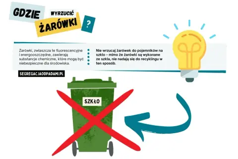 Gdzie wyrzucić żarówki? Nie do szkła! Zawierają substancje chemiczne. Sprawdź na segreagacjaodpadami.pl.