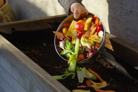 Manos añaden restos de vegetales a un compostador. Aprende como hacer compost con estos ingredientes.