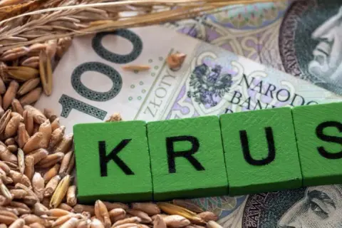 Ile wynosi emerytura rolnicza netto? Sprawdź, co musisz wiedzieć