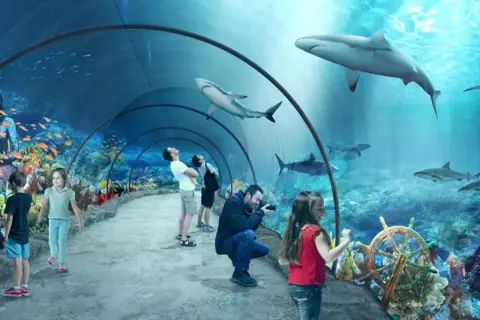 Podwodny tunel z rekinami i rybkami. Rodziny podziwiają podwodny świat. Sprawdź oceanarium Toruń ceny biletów i zaplanuj wizytę!