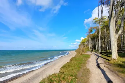 Der gespensterwald nienhagen mit seinem Strand und dem Meer unter blauem Himmel. Ein Pfad führt durch die Bäume.