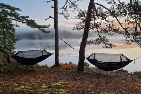 Två hängmattor redo för att sova i vid en dimmig sjö i gryningen. En person ligger redan och njuter av lugnet.