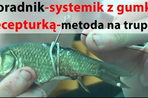Skuteczne metody zbrojenia trupka na sandacza, które przyciągają ryby