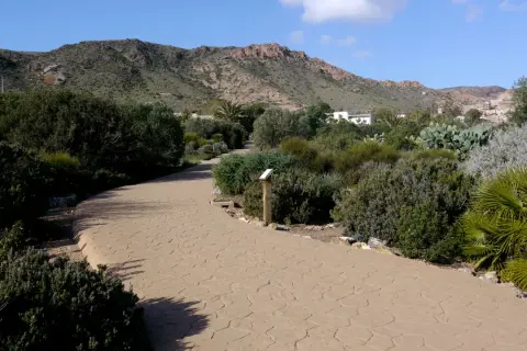 Camino sinuoso en el jardín botánico Rodalquilar, rodeado de vegetación mediterránea y montañas al fondo.