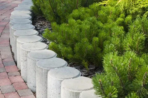 Okrągła palisada betonowa oddziela ścieżkę z kostki brukowej od bujnej zieleni iglaków.