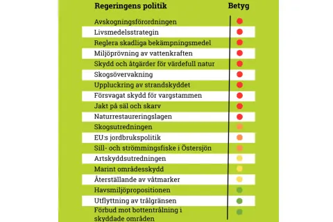 Fakta om Sverige: regeringens politik inom miljö och natur, med betyg för åtgärder som skogsövervakning och skydd av värdefull natur.